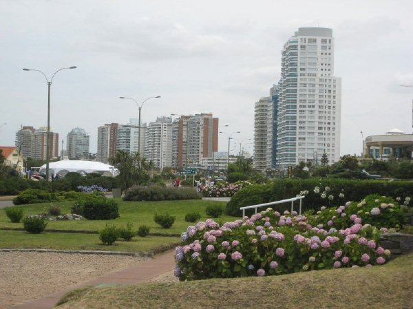 townapartmentsmontevideo.jpg