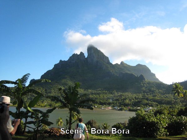 aspbora0038.jpg