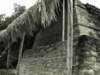 costamayamxruins18_small.jpg