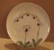 orchidplate209_small.jpg