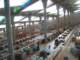 egyptalexandria_17_small.jpg