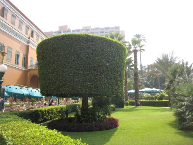 cairomarriott_05.jpg