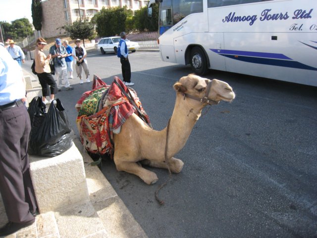 israeljerusalem_01.jpg