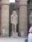 egyptnileluxortemple_13_small.jpg