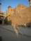 egyptnileluxortemple_17_small.jpg