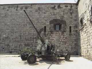 Captured Russian artillary