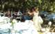 janmichellewedding069_small.jpg