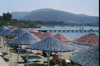 1001turkey.jpg (82749 bytes)