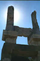 1006turkey.jpg (29366 bytes)