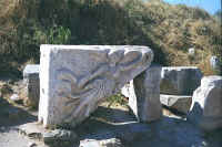 1009turkey.jpg (92034 bytes)