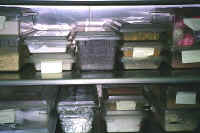 1111shipkitchen.jpg (44649 bytes)