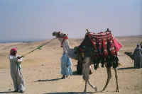 1208.jpg (42790 bytes)