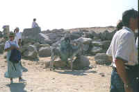 1304egypt.jpg (45841 bytes)