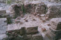 1401cypres.jpg (56528 bytes)