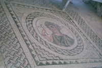 1402cypres.jpg (51154 bytes)