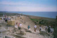 1404cypres.jpg (41005 bytes)