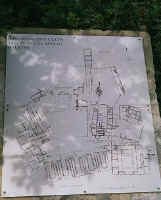 1405cypres.jpg (49637 bytes)