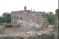 1406cypres.jpg (38150 bytes)