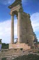 1407cypres.jpg (30553 bytes)