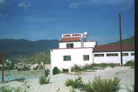 1410cypres.jpg (34141 bytes)