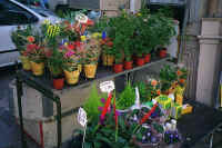 2204malta.jpg (59510 bytes)