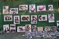 2205malta.jpg (50223 bytes)