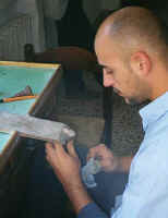 2309naples.jpg (31821 bytes)