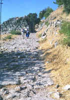 801turkey.jpg (102190 bytes)