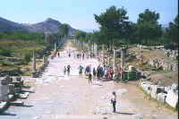 906turkey.jpg (81696 bytes)