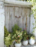 ict_omodhos21_gate&flower_pots.jpg (81296 bytes)