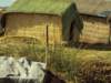 perufloatingislandreedhouse_small.jpg
