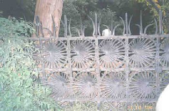 a gate with palm leaf design